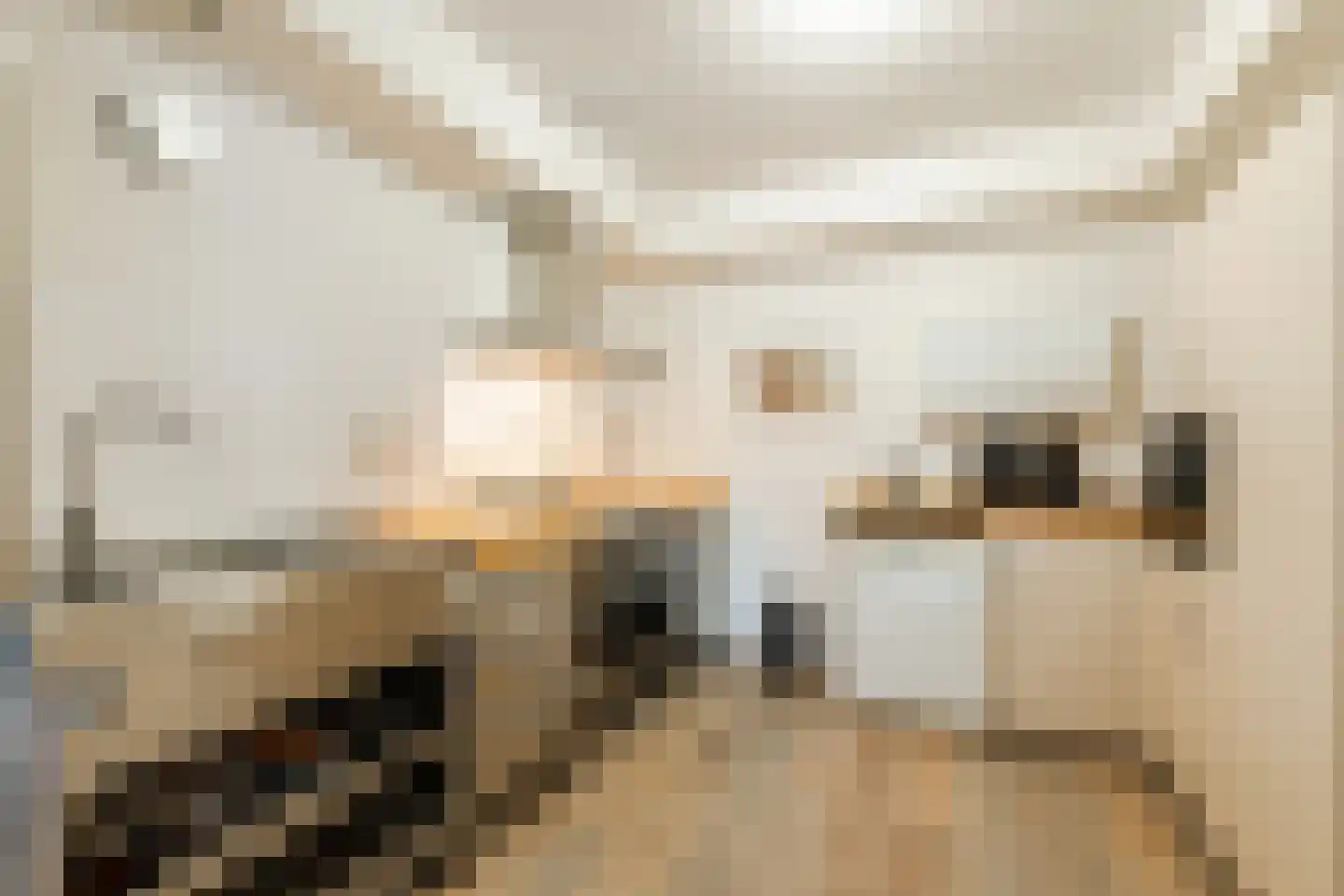 Robert Stolzlaan 24 Utrecht thumbnail 6