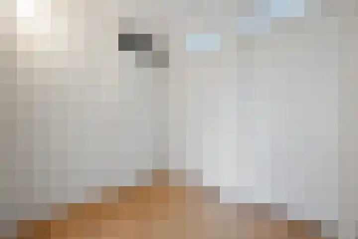 Robert Stolzsingel 1 Waalwijk thumbnail 13
