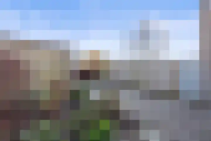 Robert Stolzsingel 1 Waalwijk thumbnail 26