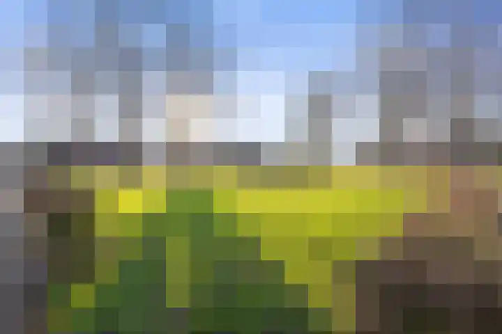 Robert Stolzsingel 1 Waalwijk thumbnail 32