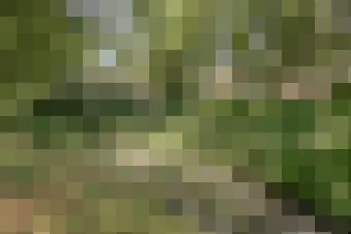 Robert Stolzstraat 33 Hengelo thumbnail 34