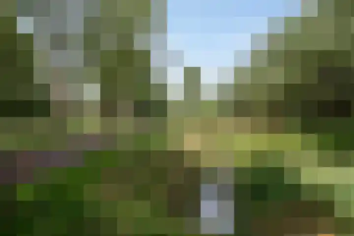 Robert Stolzstraat 33 Hengelo thumbnail 35