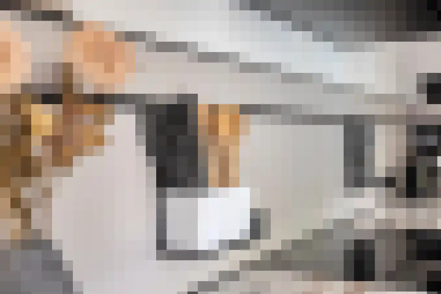Robert van Guliklaan 17 Zutphen thumbnail 17
