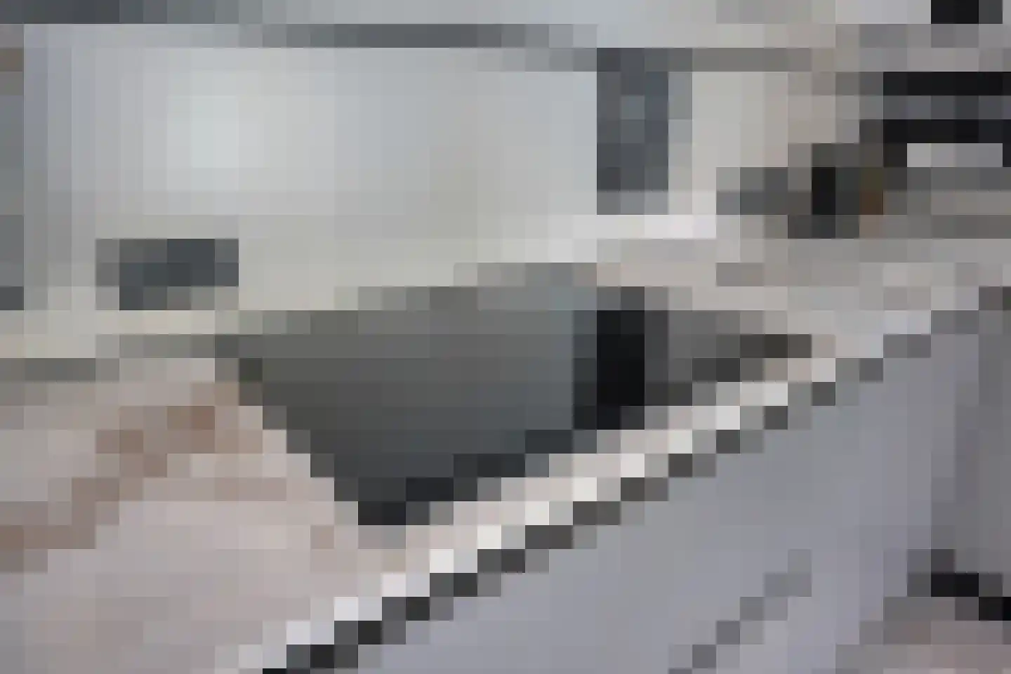 Robert van Guliklaan 17 Zutphen thumbnail 18