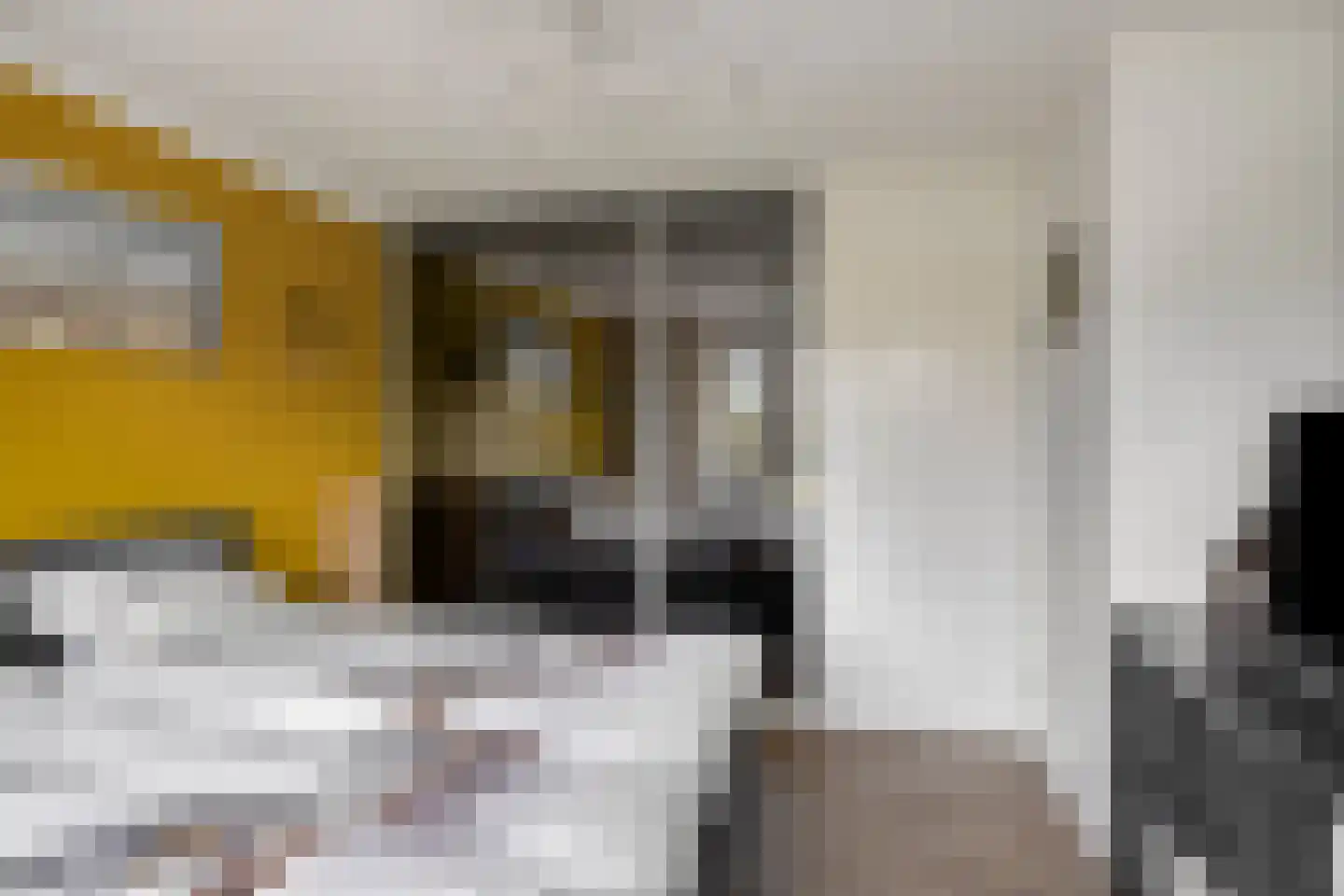Robert van Guliklaan 17 Zutphen thumbnail 25