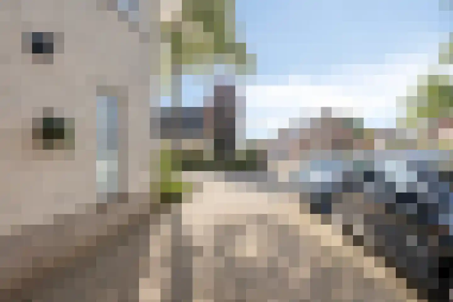 Robert van Guliklaan 17 Zutphen thumbnail 65