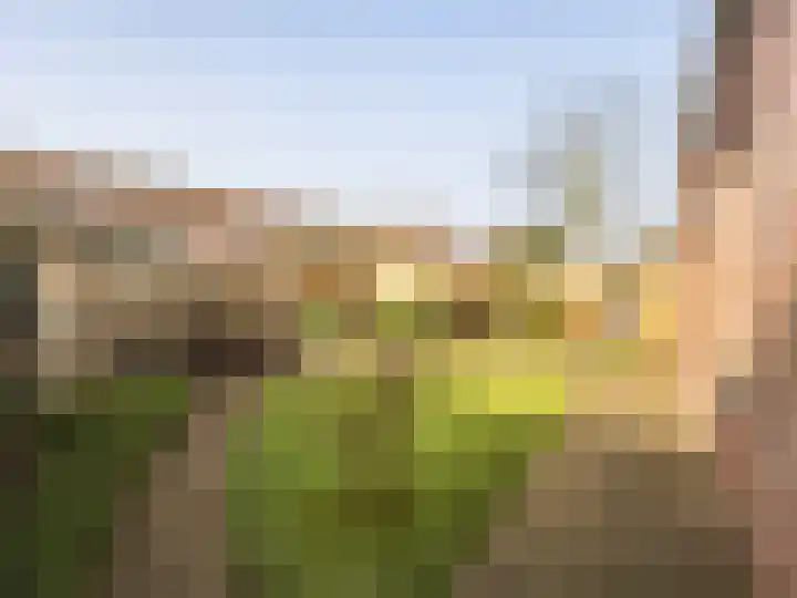 Robert van Guliklaan 38 Zutphen thumbnail 38