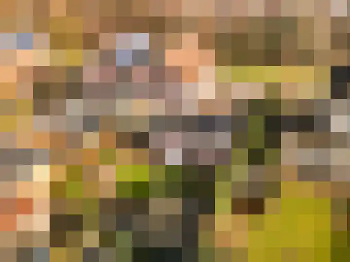 Robert van Guliklaan 38 Zutphen thumbnail 48