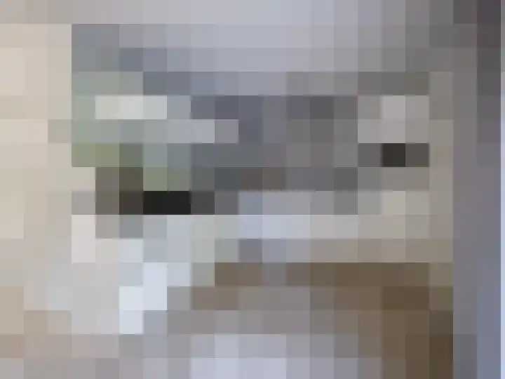 Robert van Guliklaan 9 Zutphen thumbnail 12