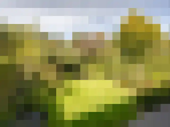 Robert van Guliklaan 9 Zutphen thumbnail 29