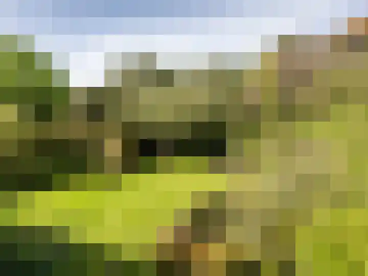 Robert van Guliklaan 9 Zutphen thumbnail 31