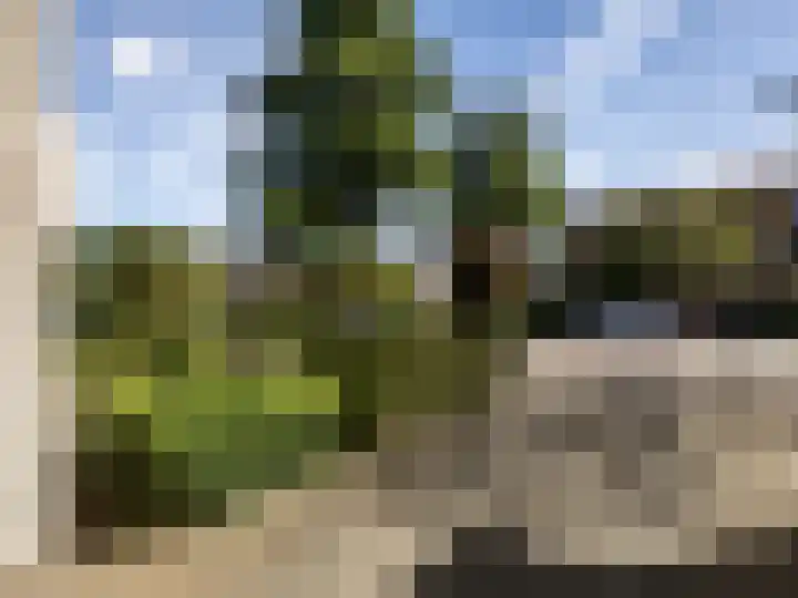 Robert van Guliklaan 9 Zutphen thumbnail 37