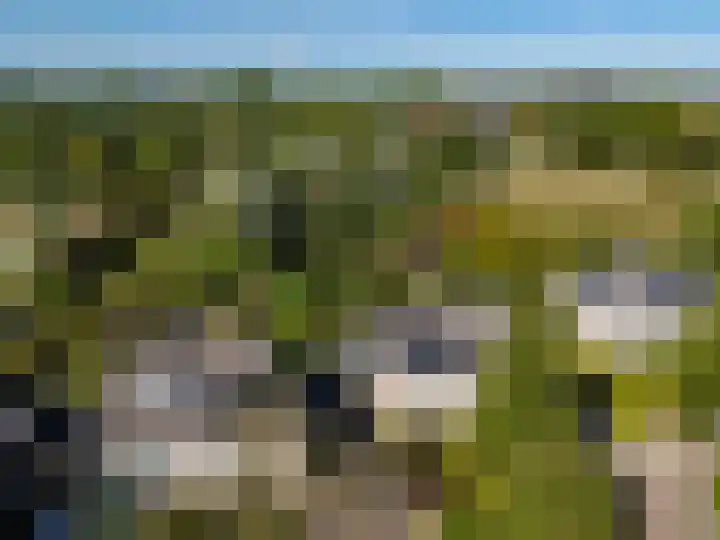 Robert van Guliklaan 9 Zutphen thumbnail 39