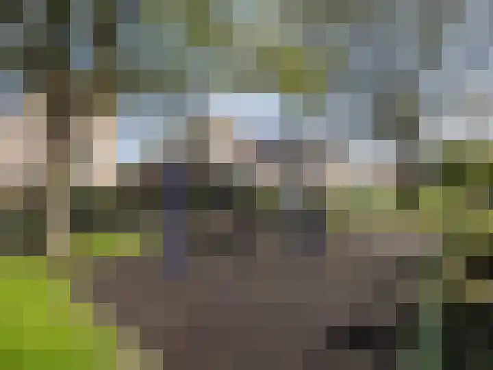Robert van Guliklaan 9 Zutphen thumbnail 40