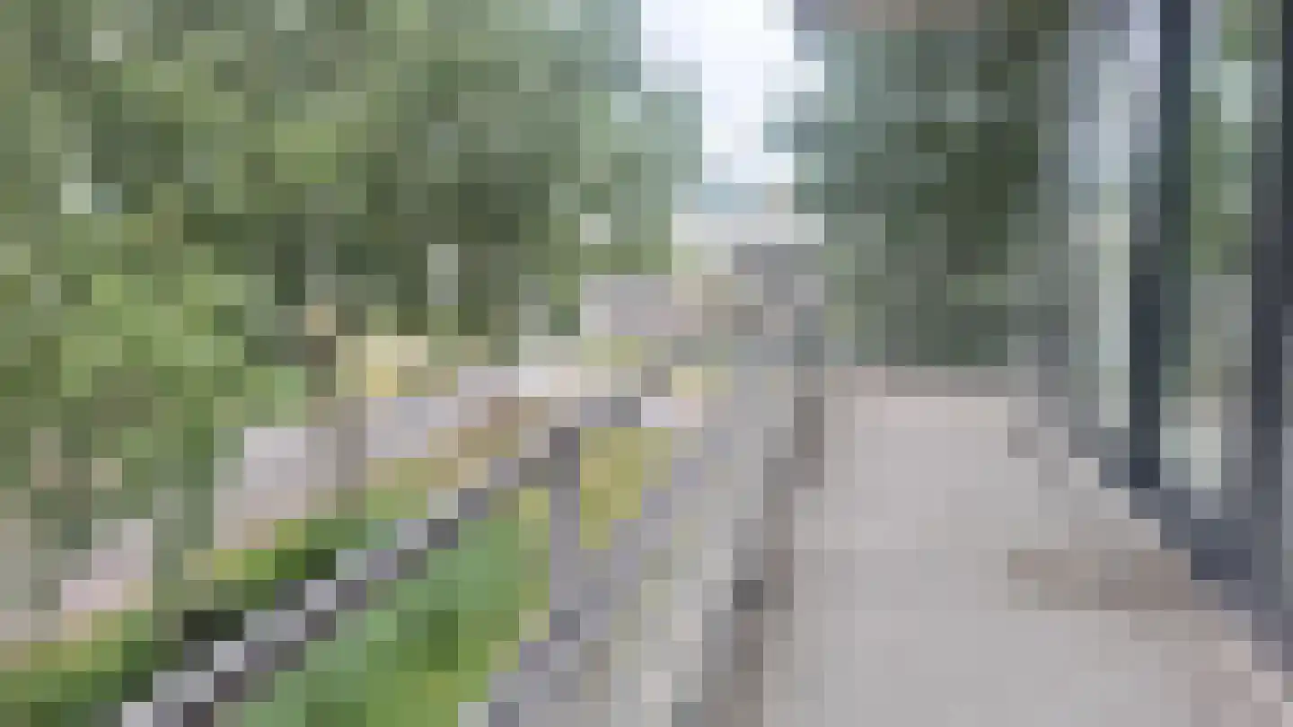 Robert van 't Hoffstraat 104 Rotterdam thumbnail 14