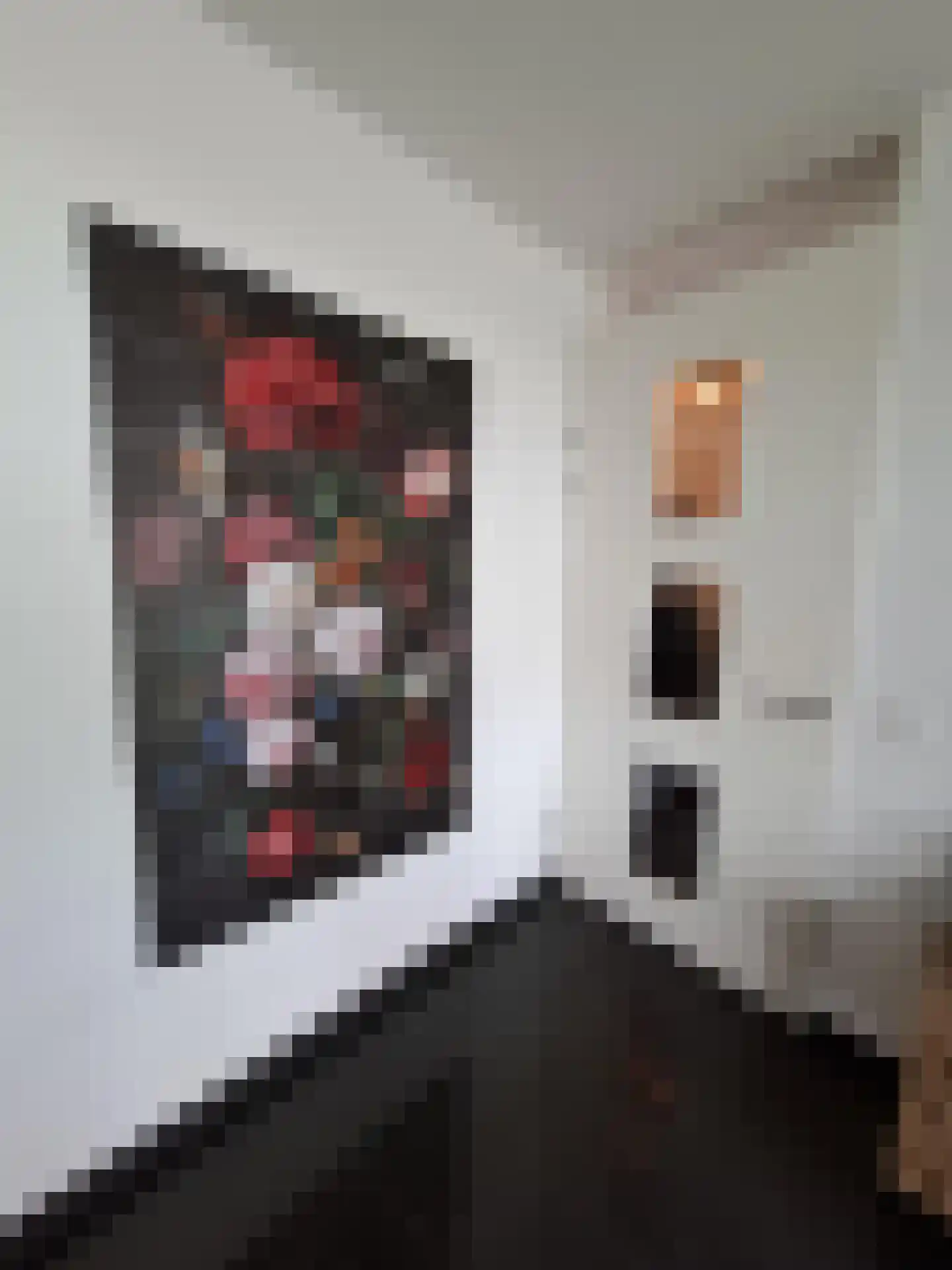 Robert van 't Hoffstraat 66 Rotterdam thumbnail 5