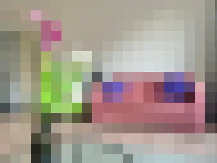 Robertaland 10 Den Haag thumbnail 7