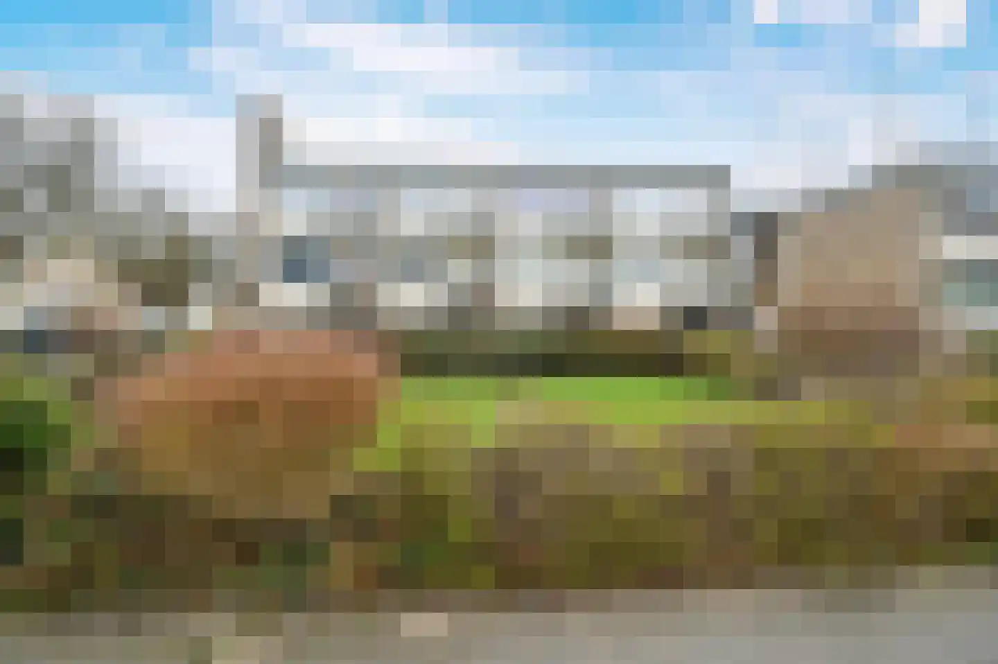 Robertaland 38 Den Haag thumbnail 4