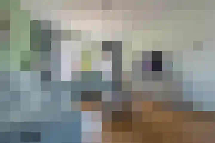 Robertstraat 44 Axel thumbnail 5
