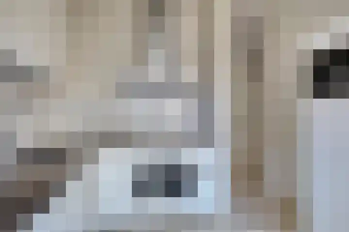 Robertus Nurkshof 6 Den Haag thumbnail 11