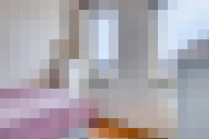 Robertus Nurkshof 6 Den Haag thumbnail 22