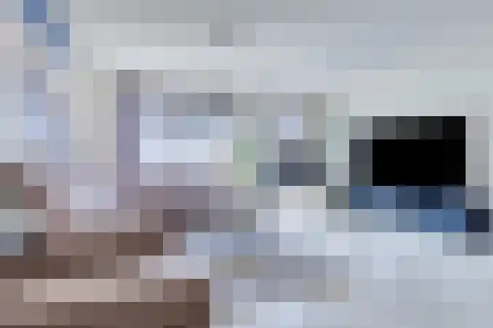 Robertus Nurkshof 6 Den Haag thumbnail 5