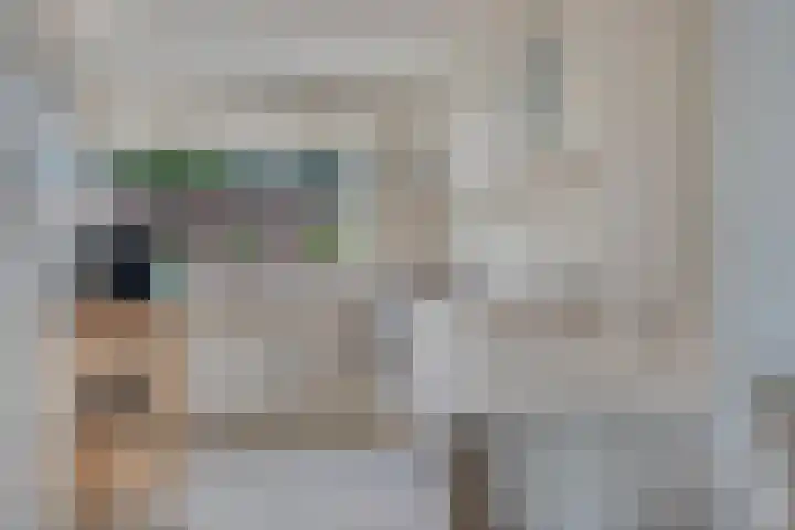 Robijn 1 's-Gravenzande thumbnail 17