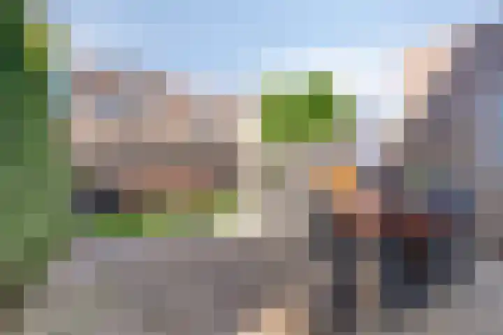 Robijn 1 's-Gravenzande thumbnail 19