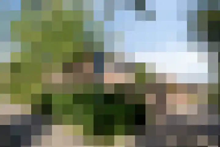 Robijn 1 's-Gravenzande thumbnail 41