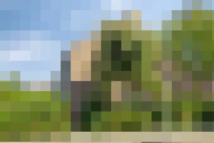 Robijn 1 's-Gravenzande thumbnail 6