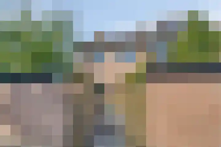 Robijn 1 's-Gravenzande thumbnail 7