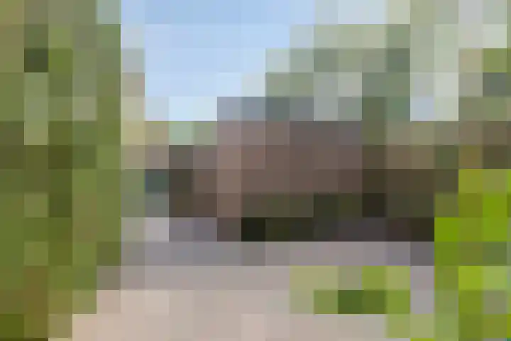 Robijn 1 's-Gravenzande thumbnail 8