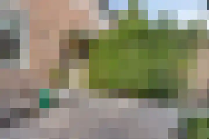 Robijn 1 's-Gravenzande thumbnail 9