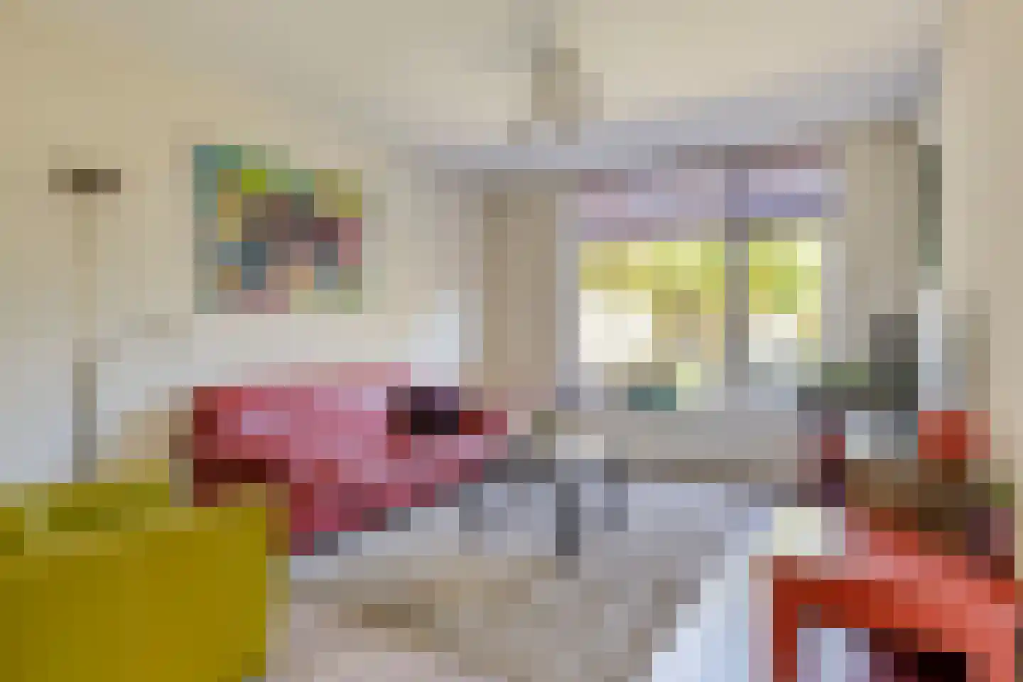 Robijn 11 Oss thumbnail 10