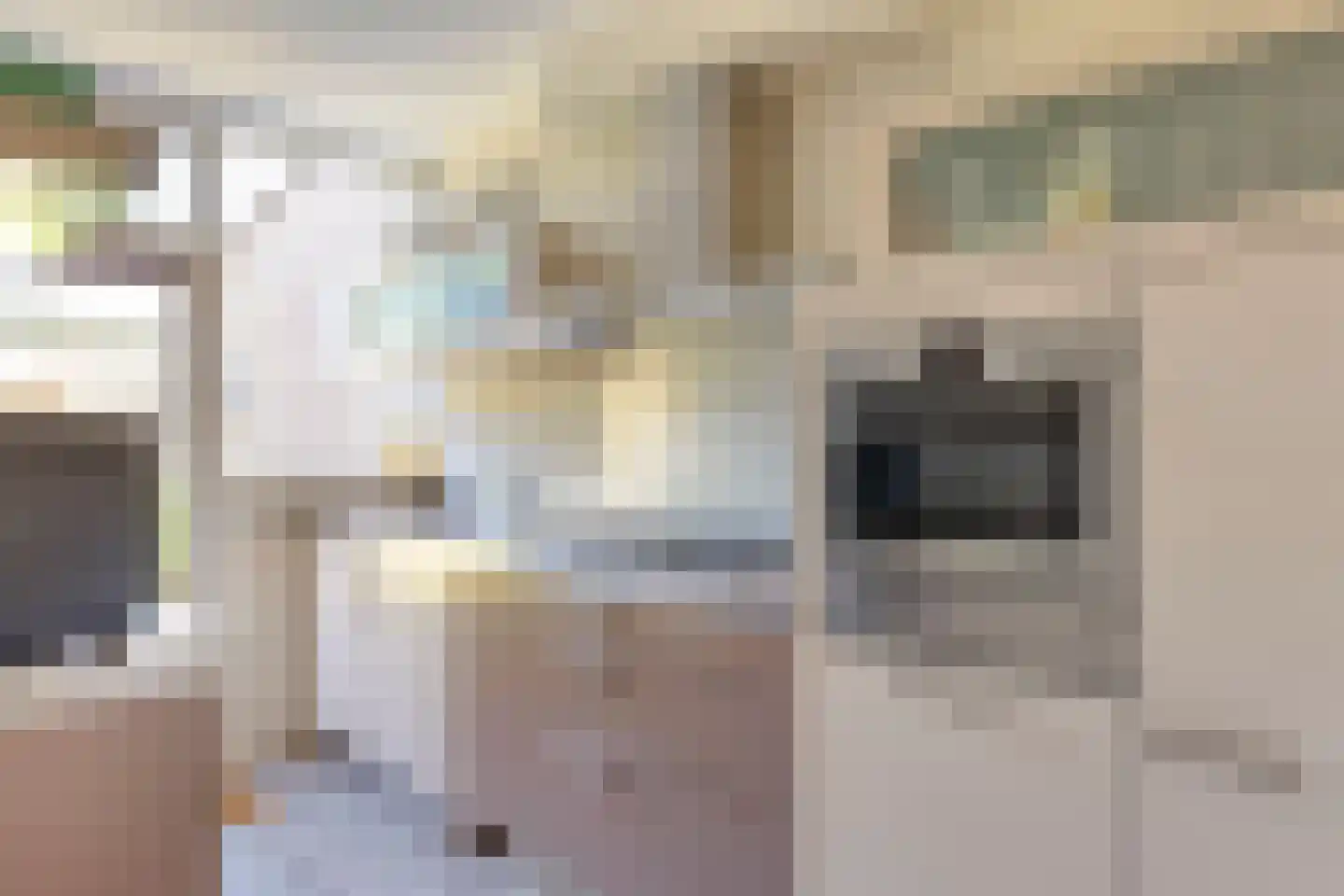 Robijn 11 Oss thumbnail 17