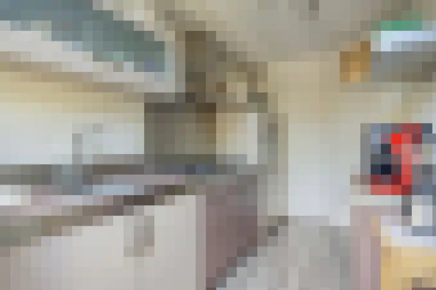Robijn 11 Oss thumbnail 18