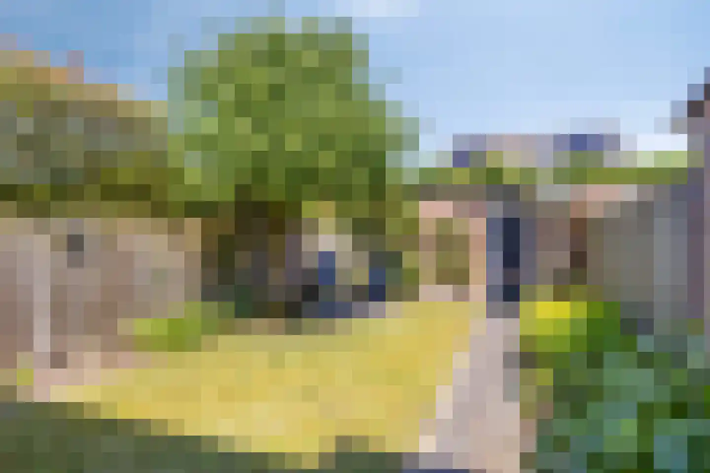 Robijn 11 Oss thumbnail 20