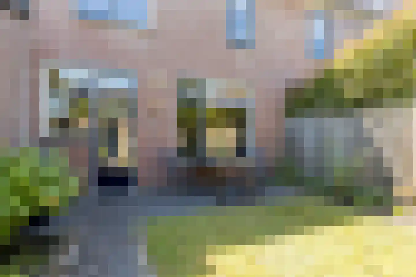 Robijn 11 Oss thumbnail 23