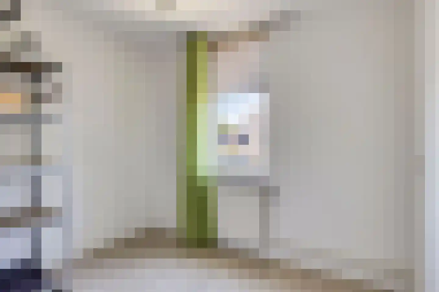 Robijn 11 Oss thumbnail 27