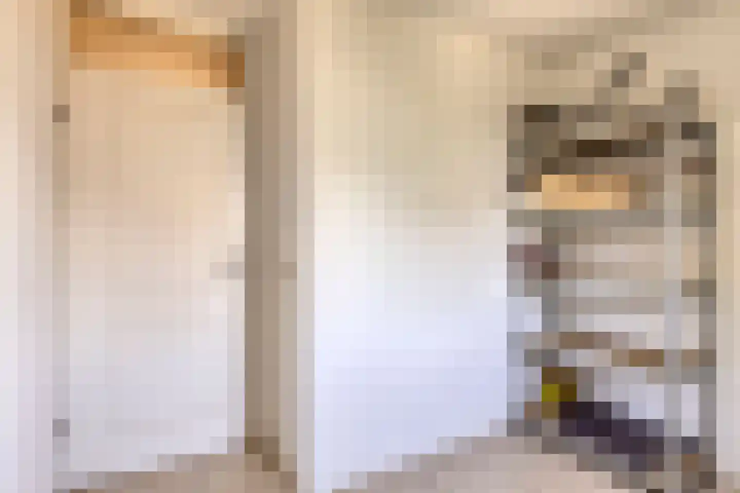 Robijn 11 Oss thumbnail 28