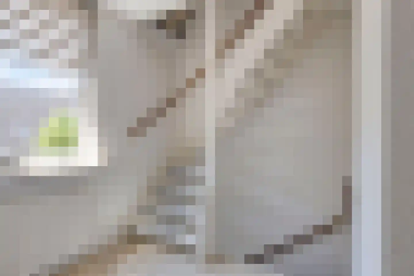 Robijn 11 Oss thumbnail 33