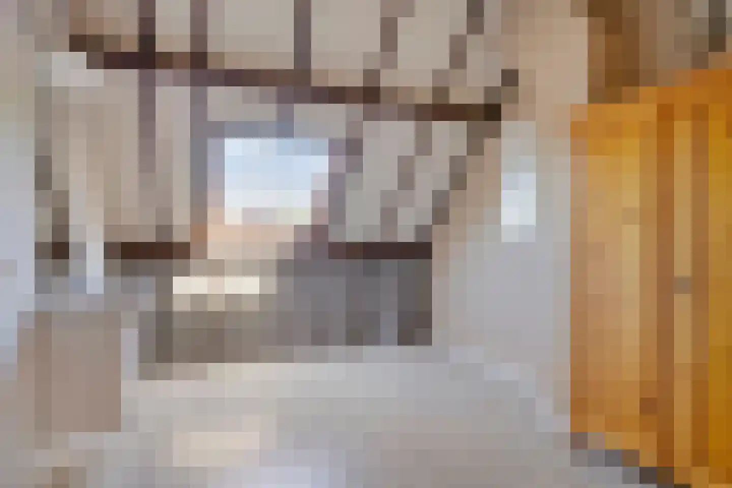 Robijn 11 Oss thumbnail 36