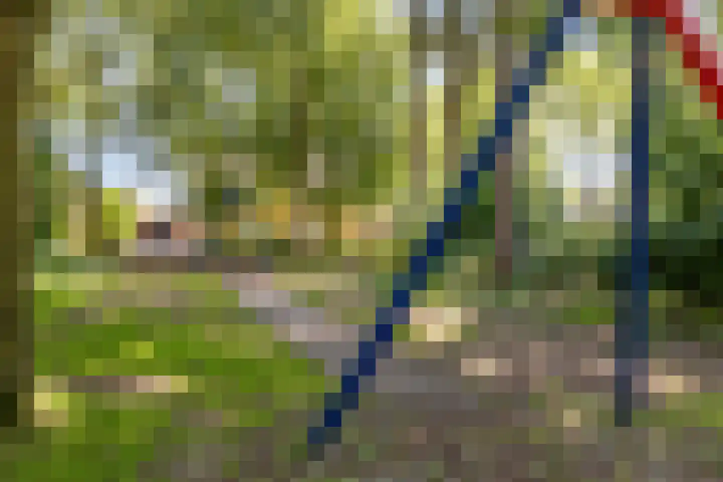 Robijn 11 Oss thumbnail 40