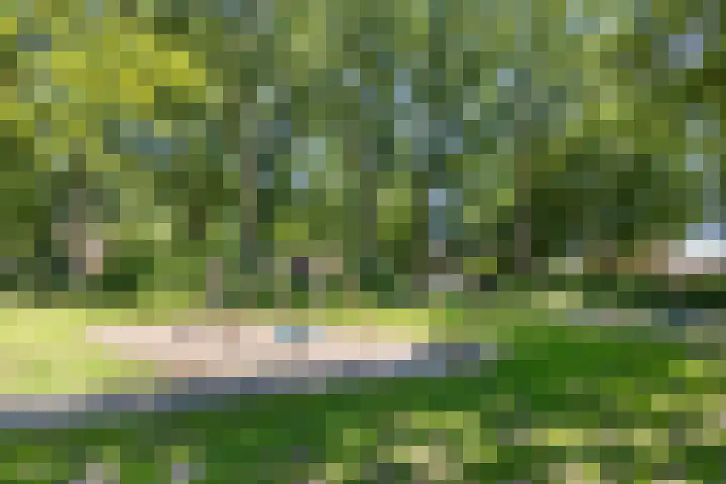 Robijn 11 Oss thumbnail 41