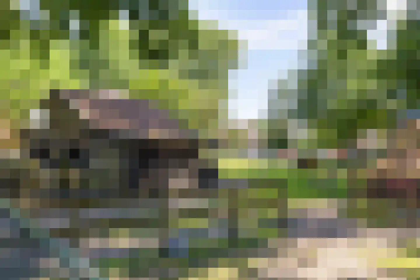 Robijn 11 Oss thumbnail 42
