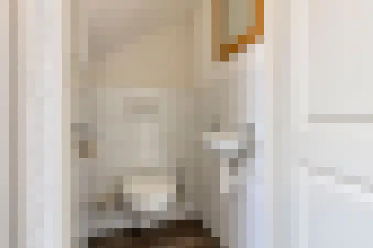 Robijn 11 Oss thumbnail 9