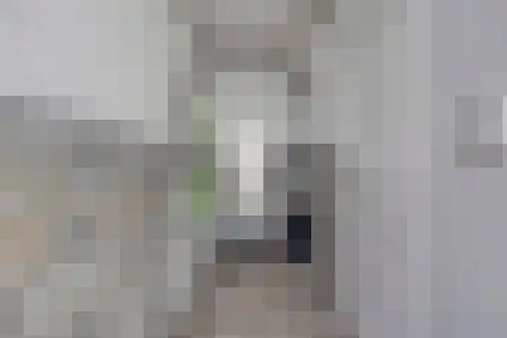 Robijn 15 's-Hertogenbosch thumbnail 13