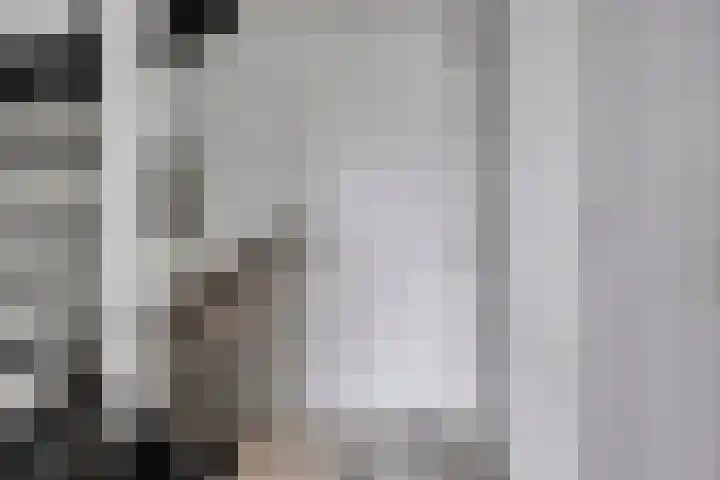 Robijn 15 's-Hertogenbosch thumbnail 16