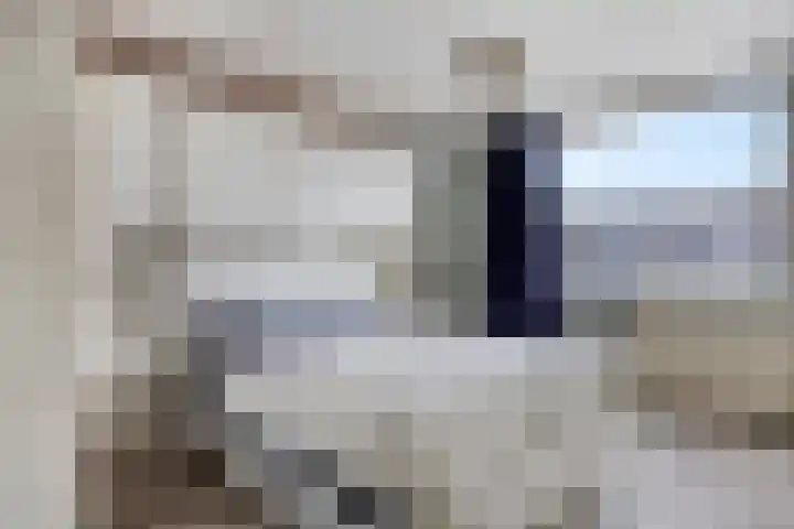 Robijn 15 's-Hertogenbosch thumbnail 17