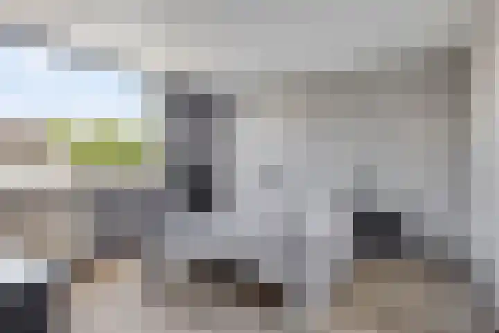 Robijn 15 's-Hertogenbosch thumbnail 21